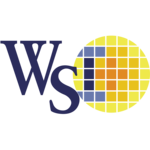 WiseChip Semiconductor Inc.